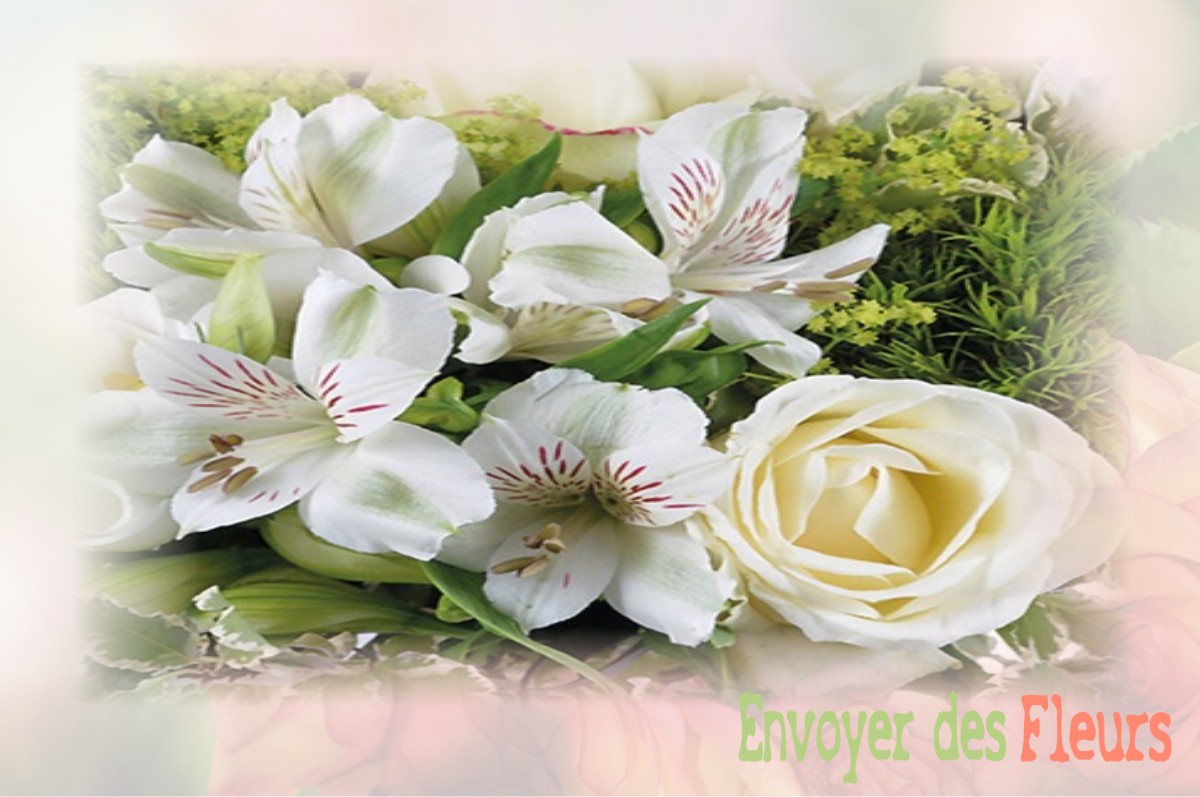 envoyer des fleurs à à DAMPIERRE-SUR-MOIVRE